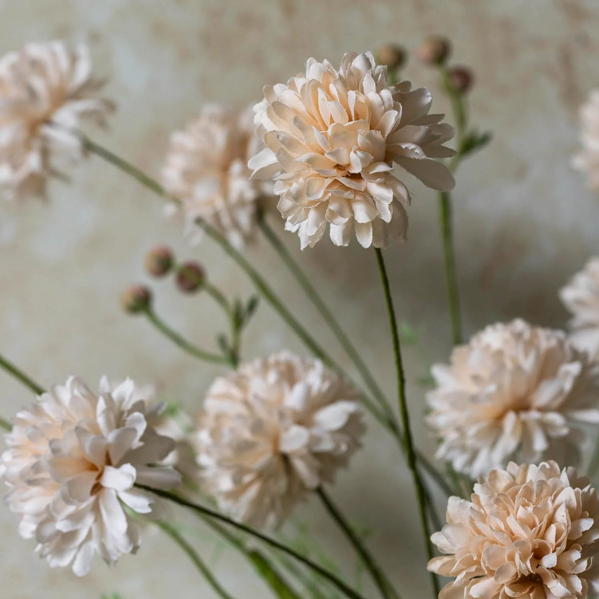 ARTIFICIAL WILD CHRYSANTHEMUM, BLUSH - *PRE ORDER* Due Mid November 2026