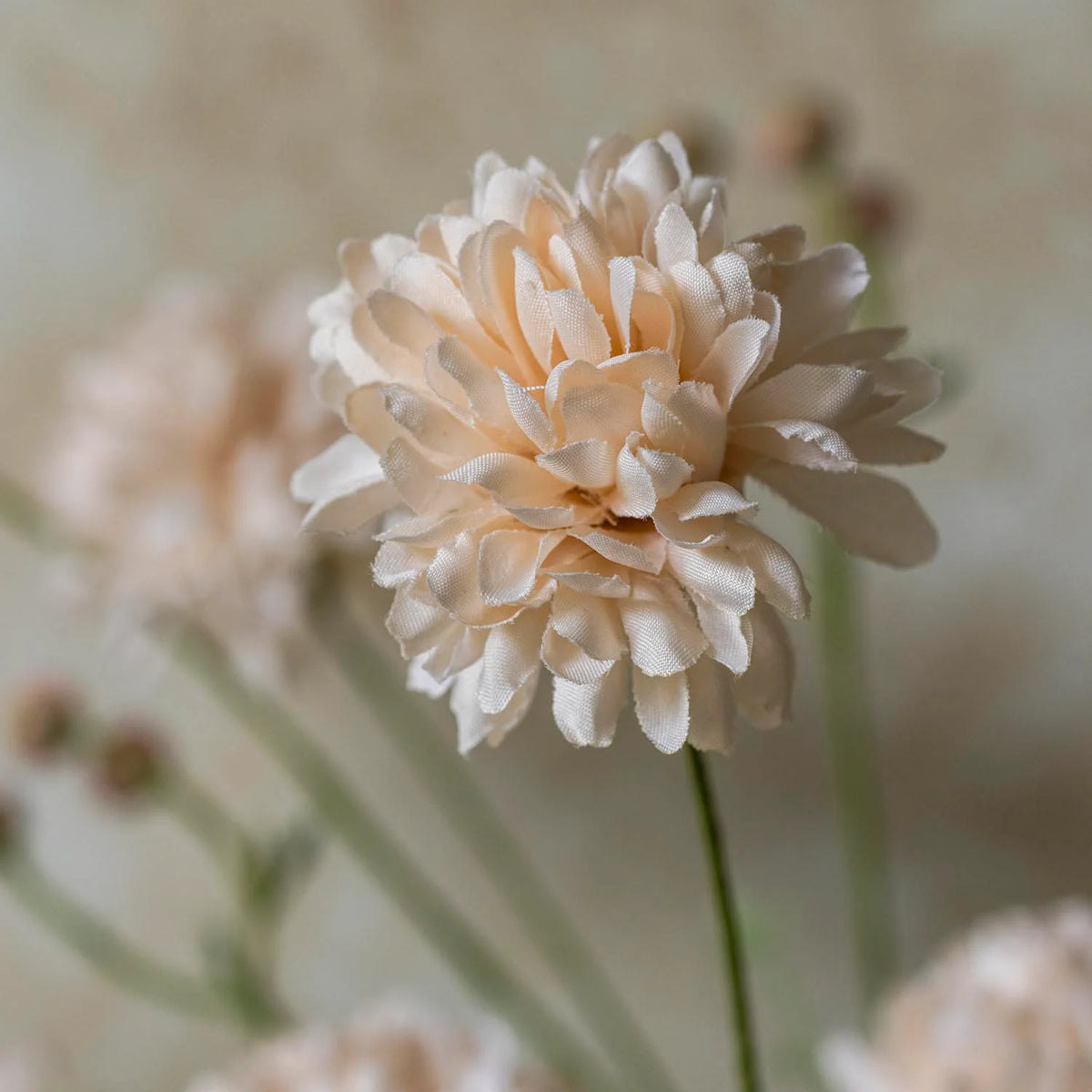 ARTIFICIAL WILD CHRYSANTHEMUM, BLUSH - *PRE ORDER* Due Mid November 2026