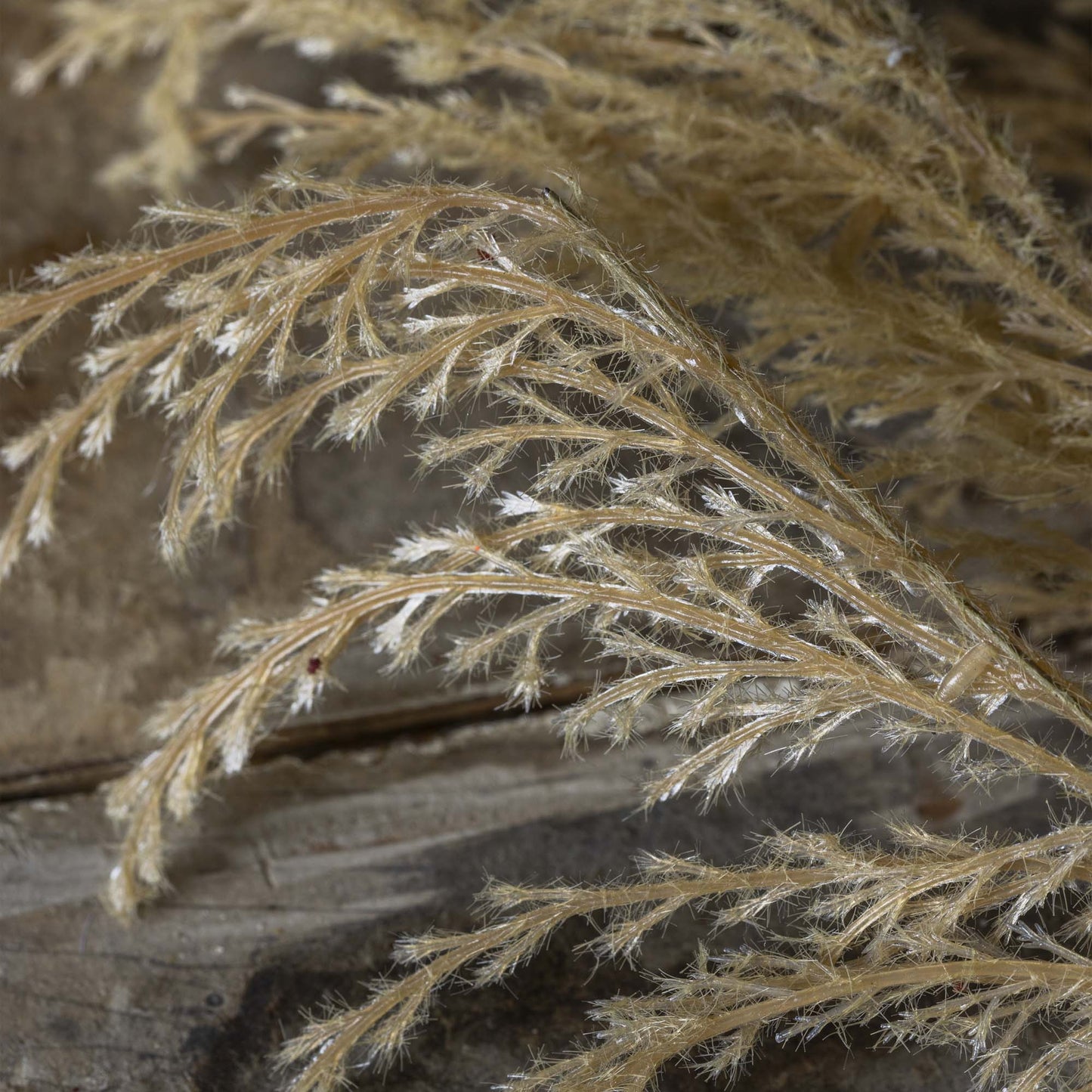 ARTIFICIAL WILD GRASS, OAT