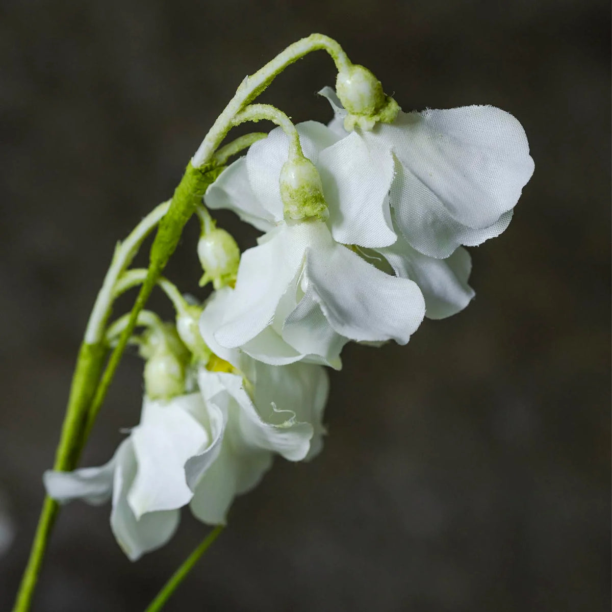 ARTIFICIAL WILD SWEET PEA, CREAM - *PRE ORDER* Due Mid November 2026