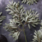 ARTIFICIAL WILLOW, SOFT GREEN