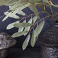 ARTIFICIAL WILLOW, SOFT GREEN