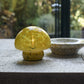 PANDORA PORTABLE TABLE LAMP, HONEY -  *Pre-Order* - Shipping August 2026